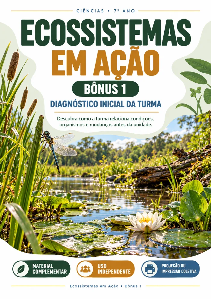 Diagnóstico Inicial da Turma
