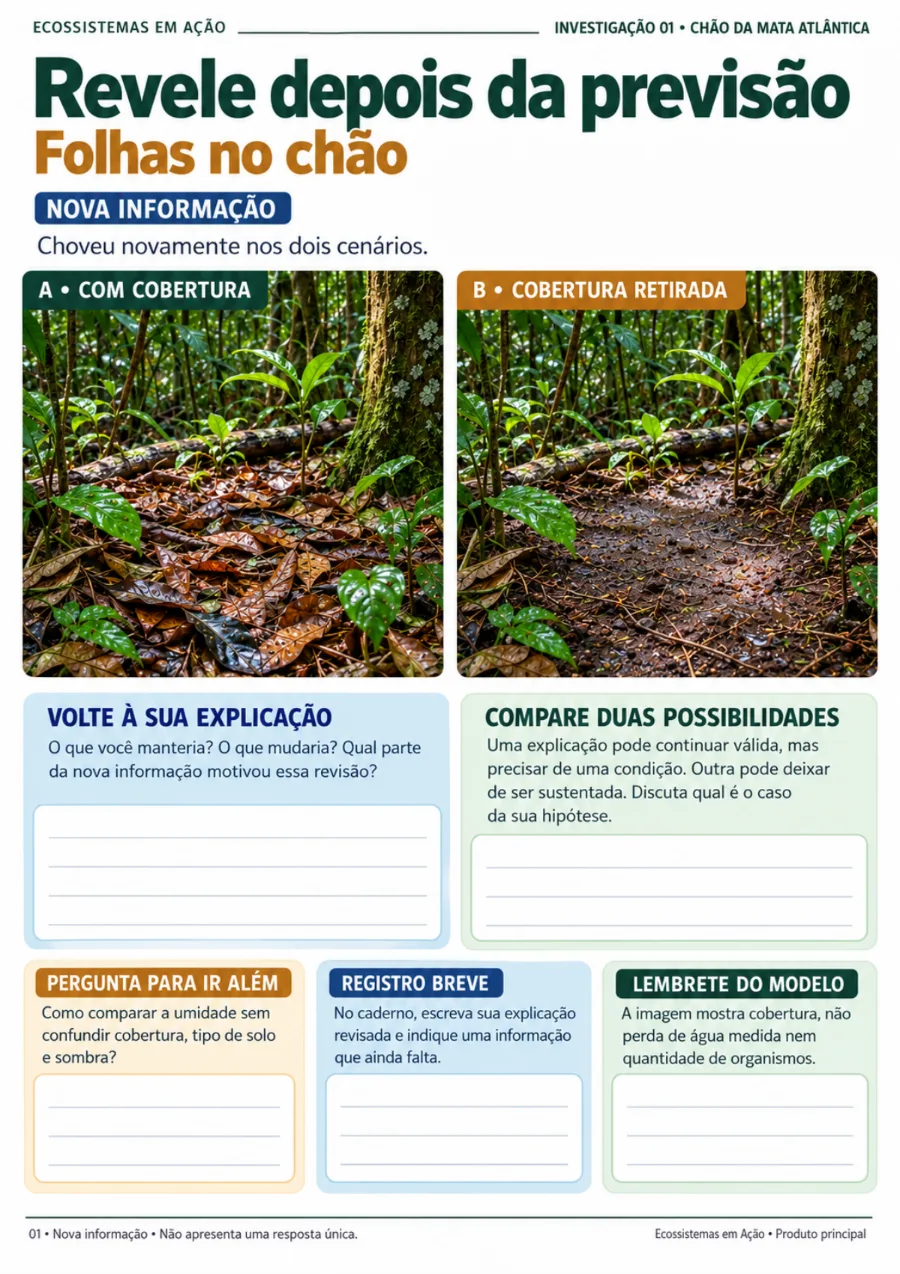 Nova informação