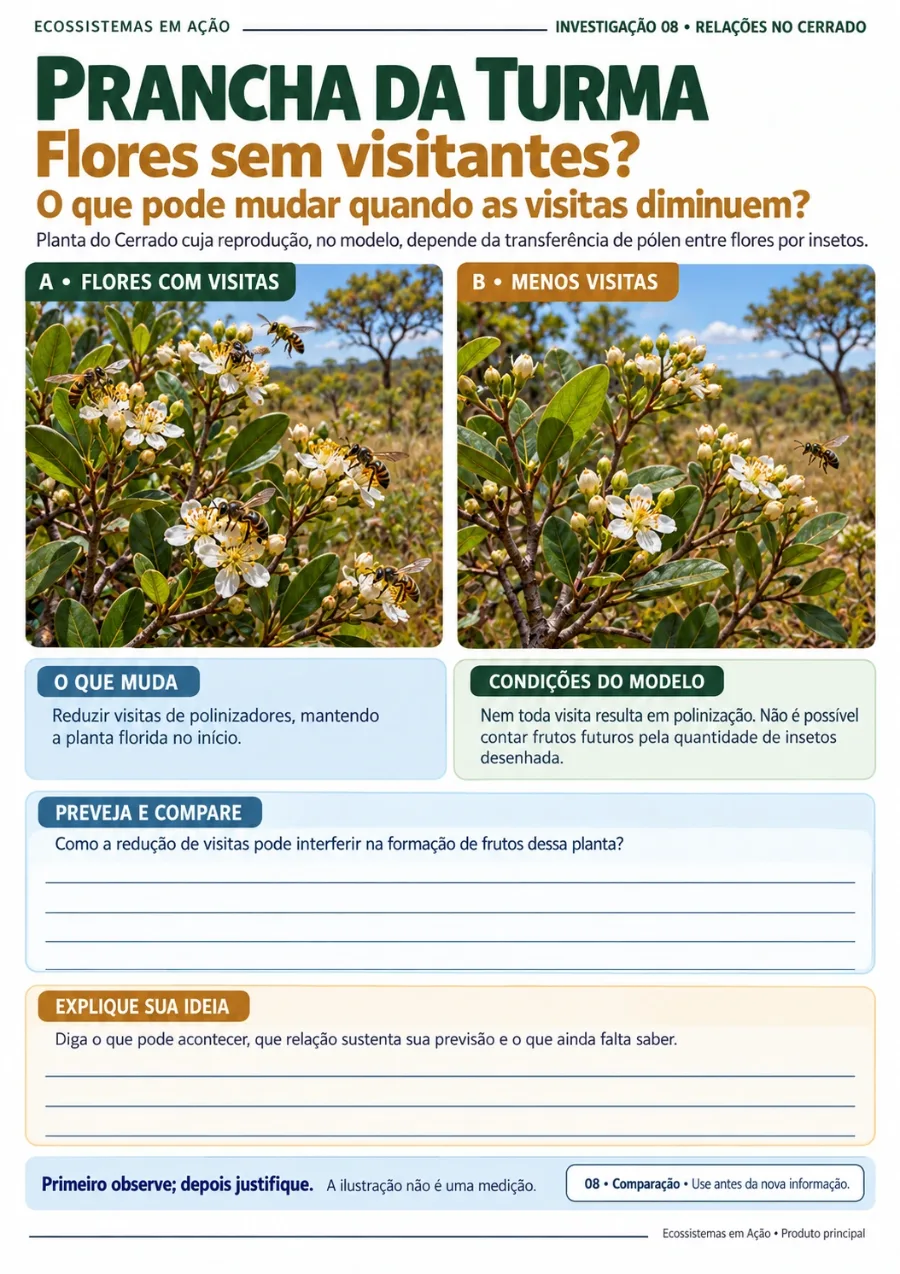 Flores sem visitantes?