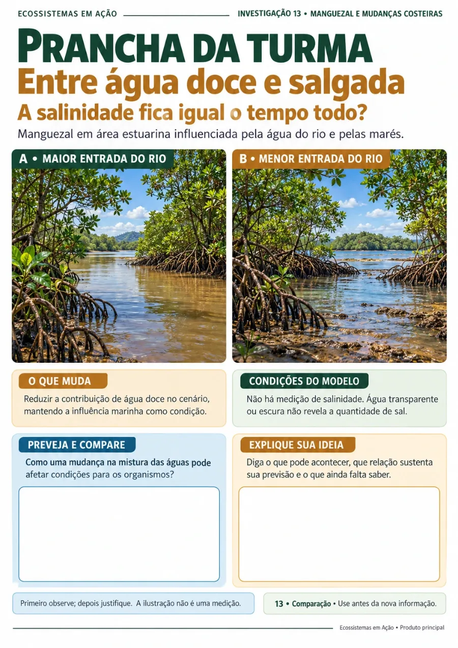 Entre água doce e salgada